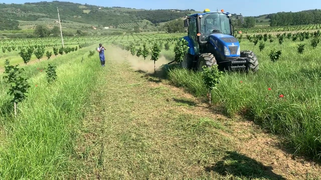 Berardi Macchine Agricole. FACMA BVE 200 CON DISCO F 800 IDR (VIDEO 5)