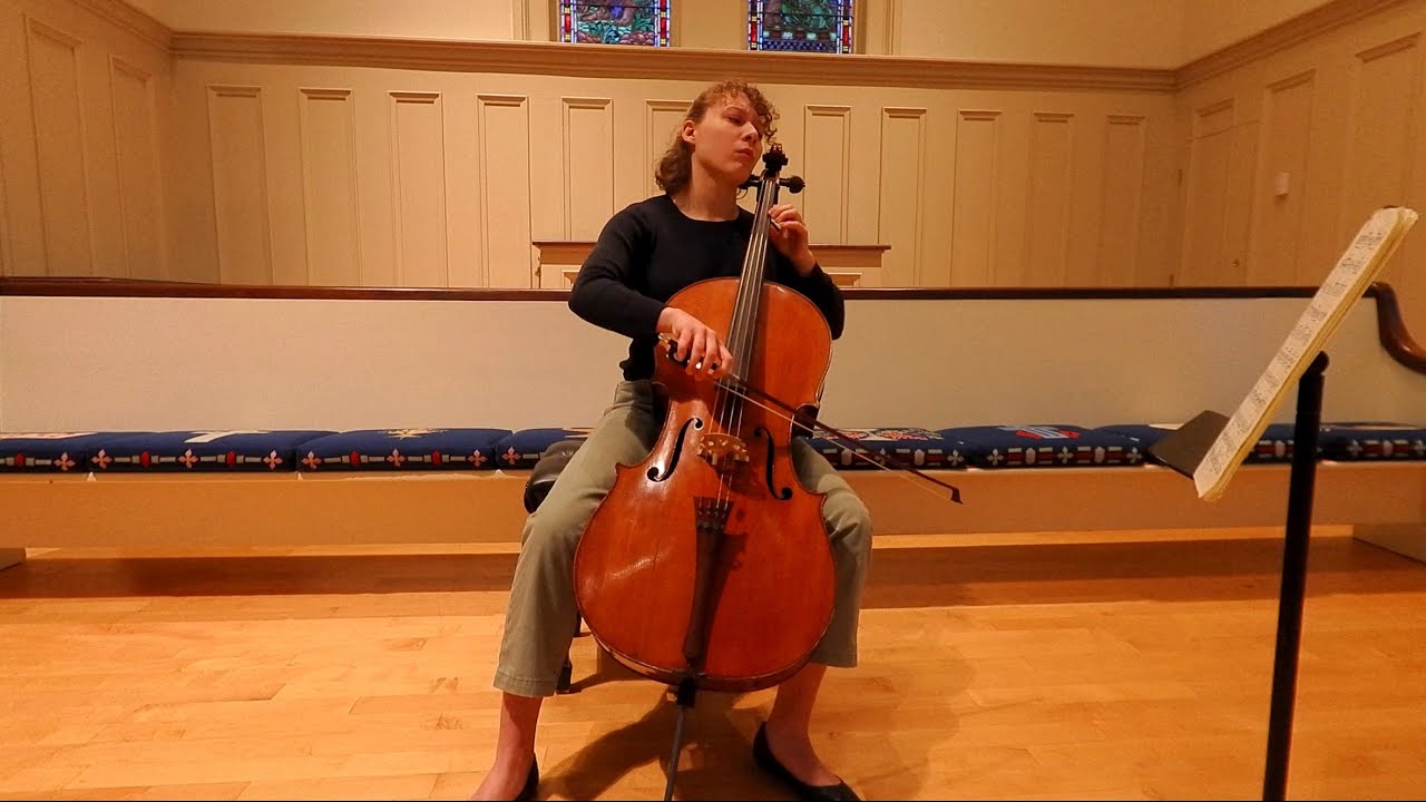 Brahms, cello sonata in E minor, mvt. I