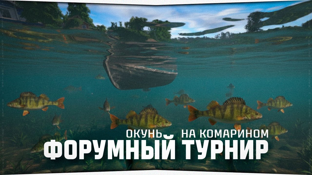 Комариное озеро &bull; Турнир на ОКУНЯ &bull; Русская Рыбалка 4