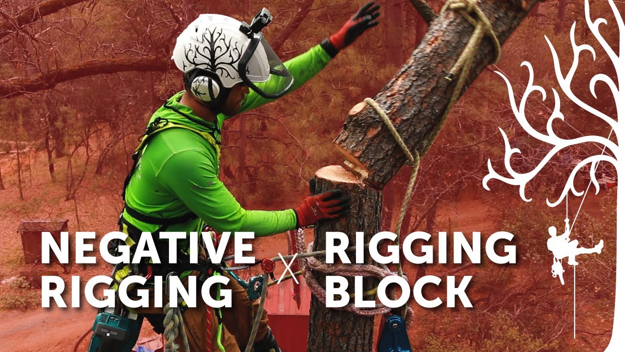 Negative rigging basics Pt.2 | Using a Rigging Block or Pulley | how-to Arborist climber tutorial