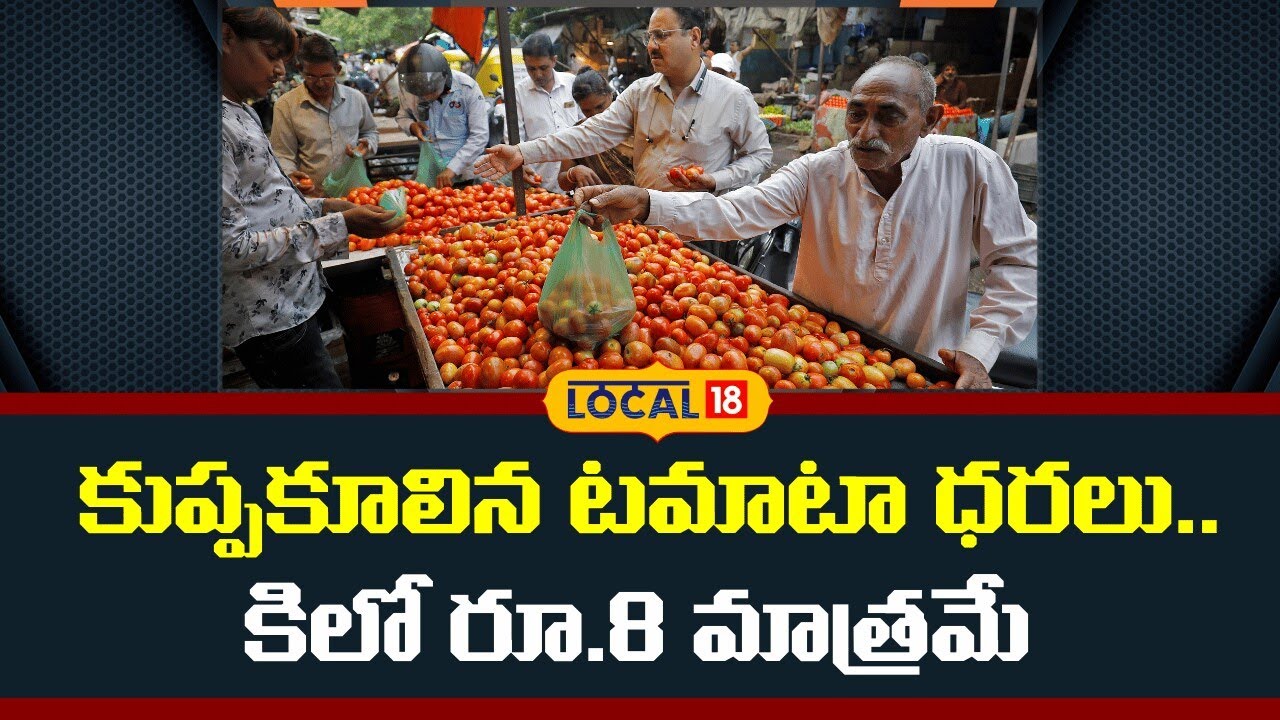 Tomato Rates Collapse | కుప్పకూలిన టమాటా ధరలు.. కిలో రూ.8 మాత్రమే | #local18V