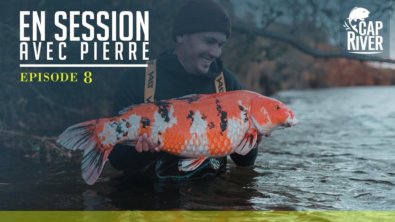 En session avec Pierre Meyer - Fin de saison en gravière - Pêche de la carpe | Cap River