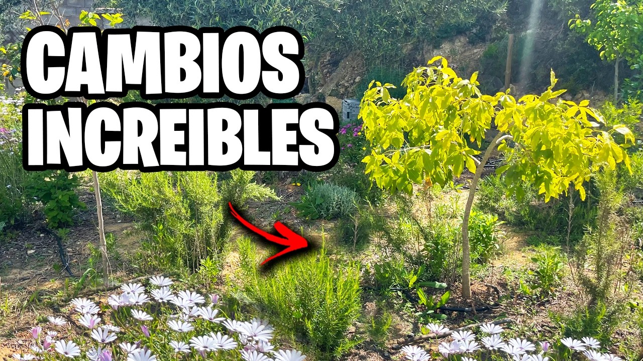 Primer PASEO por el Huerto esta Temporada!! 🌱 Vivir en el Campo | La Huerta de Ivan