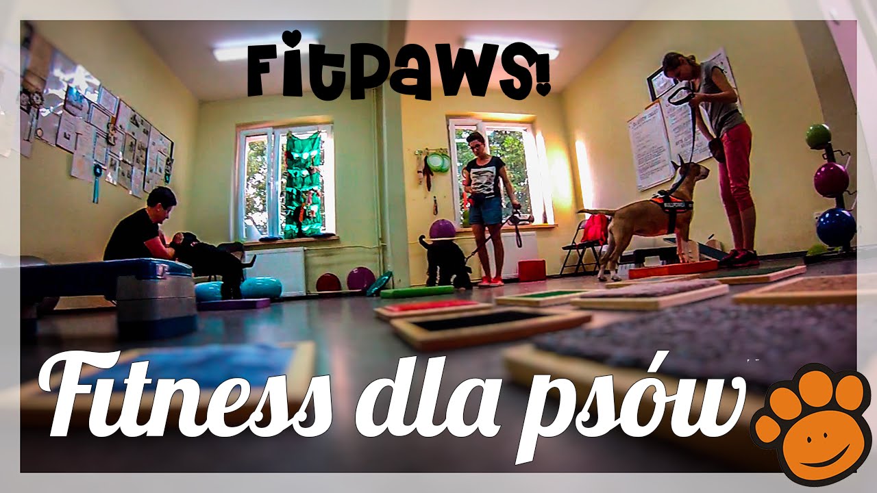 FITNESS ♡ DLA PS&Oacute;W ➪ WESOŁA ŁAPKA
