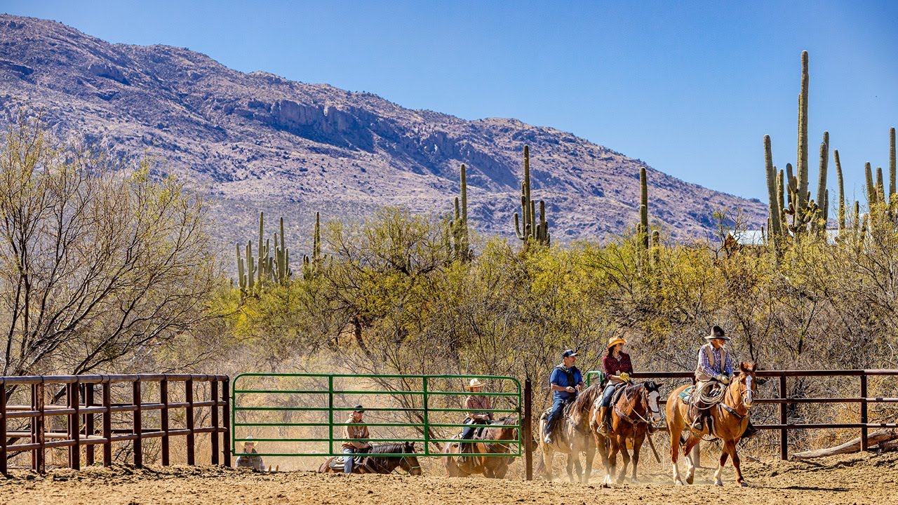 Vacationing at Arizona's Dude Ranches