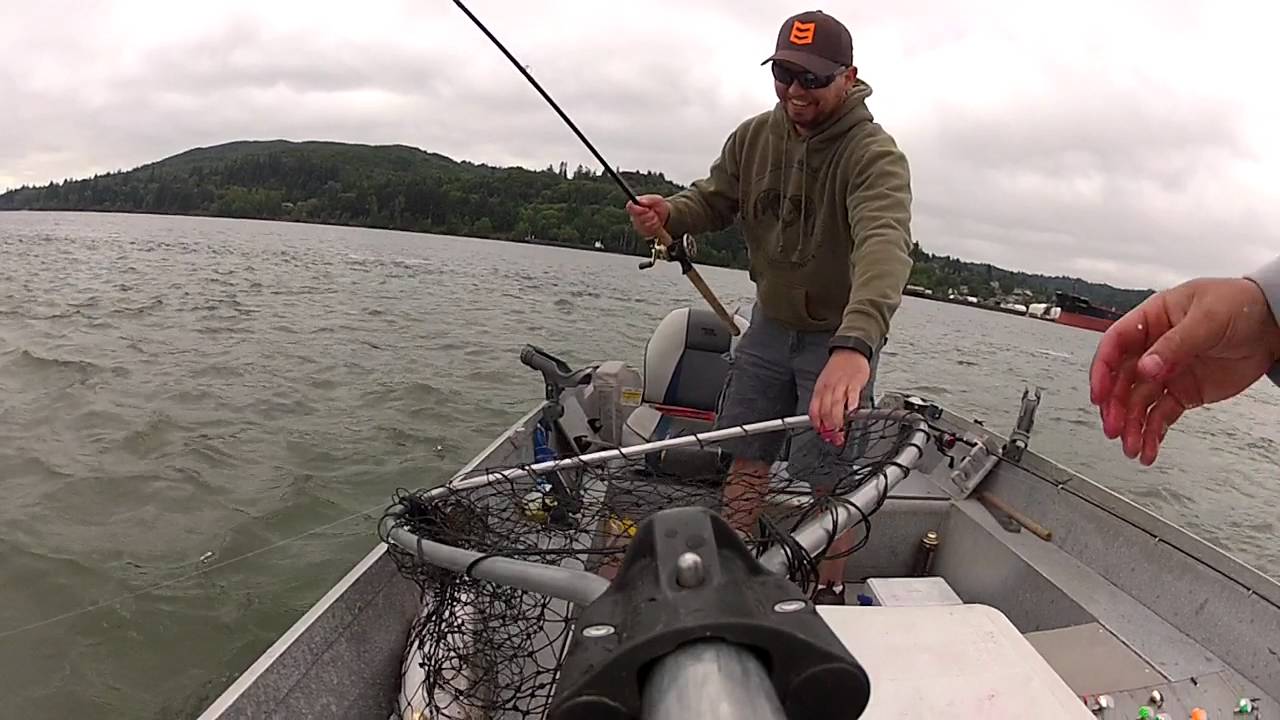 My june chinook jack