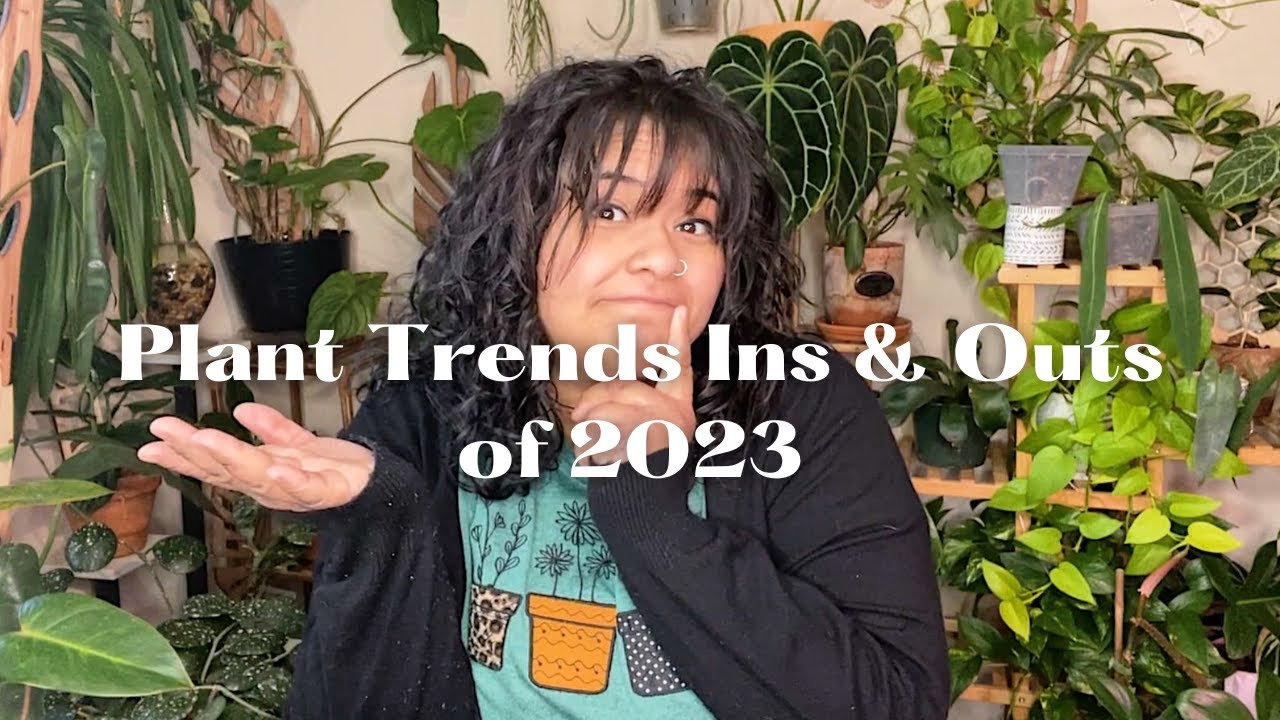 Plants trends that'll we're leaving behind in 2022 and plant trends we'll see in 2023