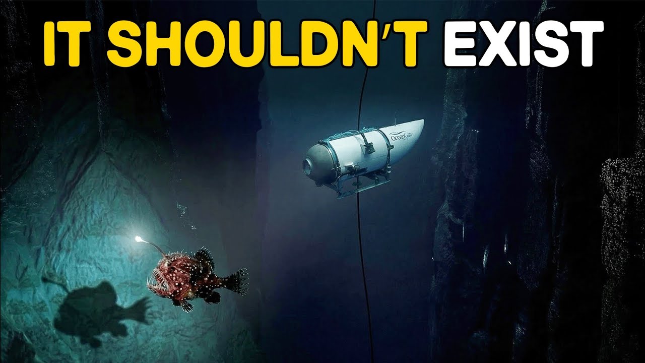 These Deep Sea Creatures Shouldn't Exist But They Do