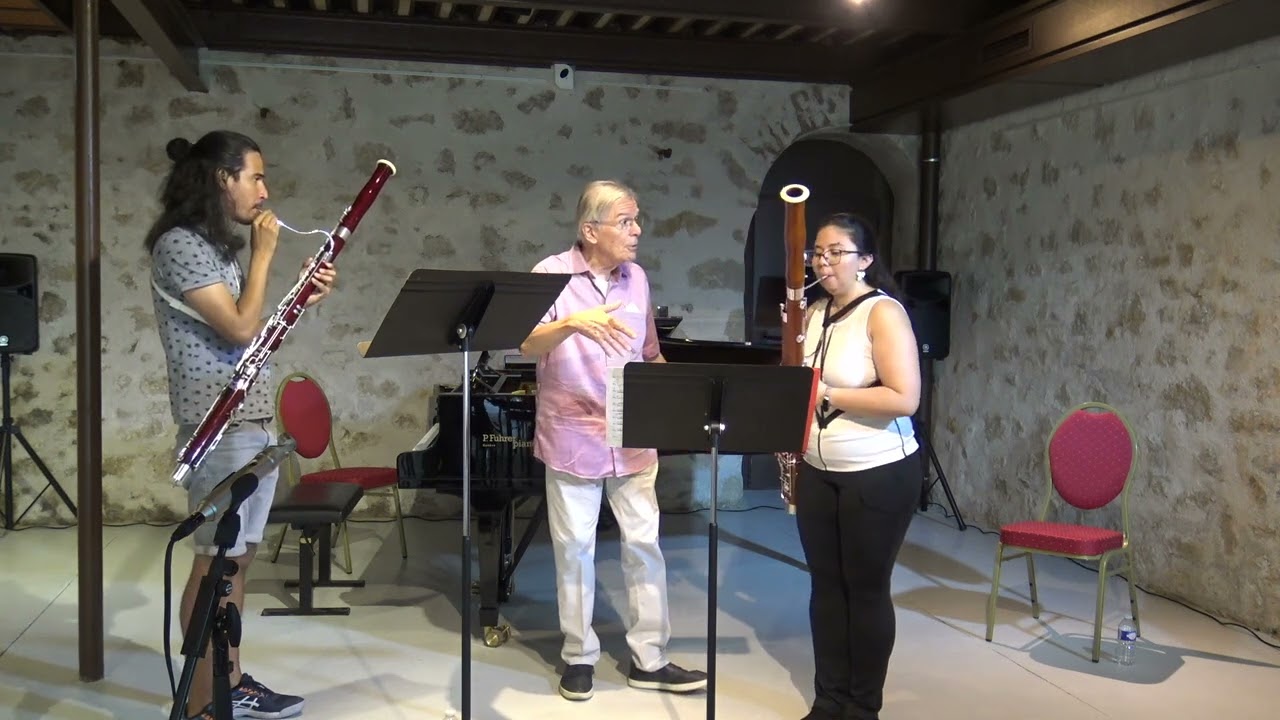 Milan Turkovic Masterclass I Telemann Sonata 1/3