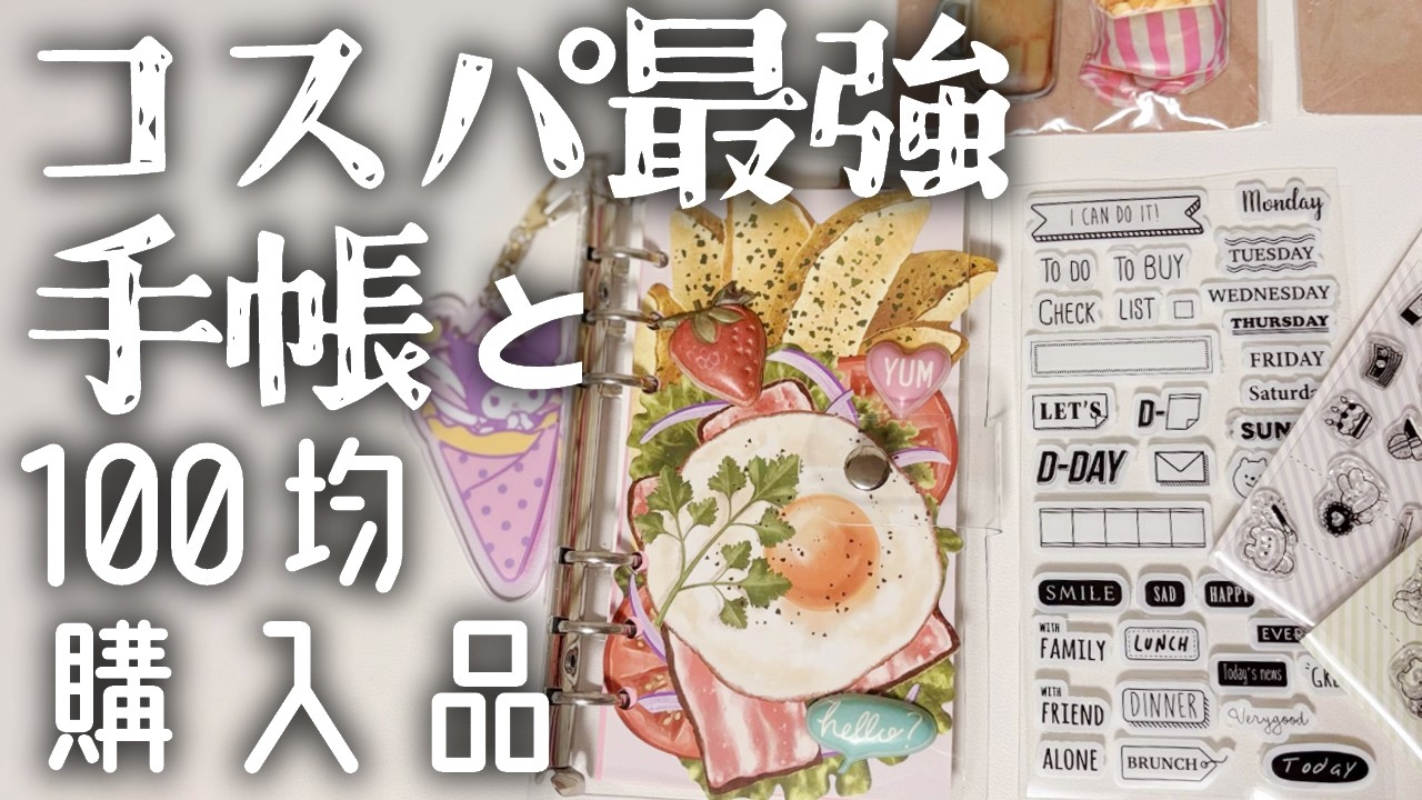 【ビジュ◎】コスパ最強のクリア手帳と100均おススメ購入品【TREEPPY/DAISO/Can do】