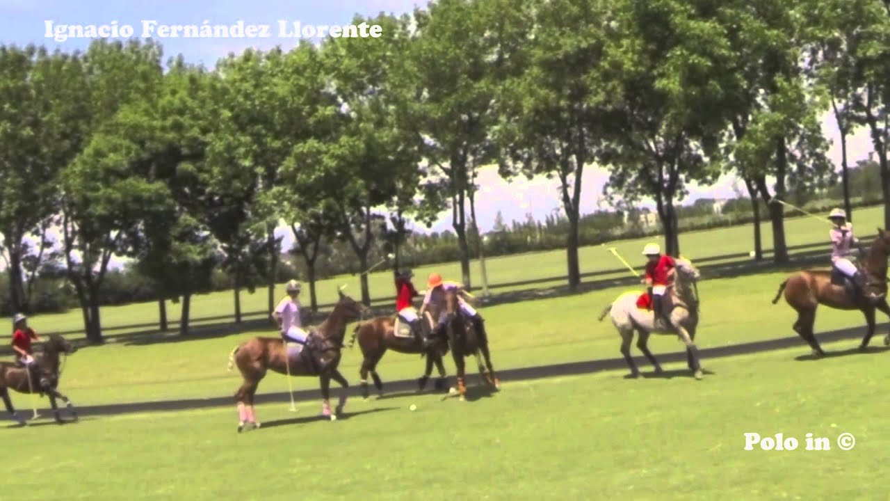 Polo Rules Course in English 12/12 Ranking of Fouls