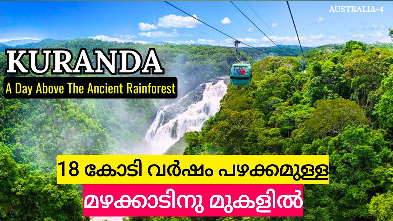 KURANDA | 18 കോടി വർഷങ്ങൾ പഴക്കമുള്ള മഴക്കാടിനു മുകളിൽ |  CAIRNS
