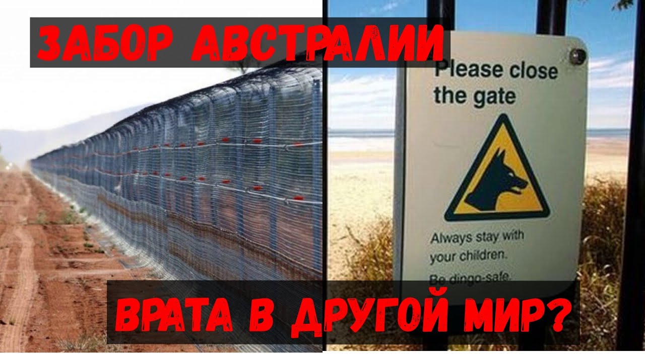 Что от нас скрывают за забором Австралии: Сама Австралия это начало другого мира!