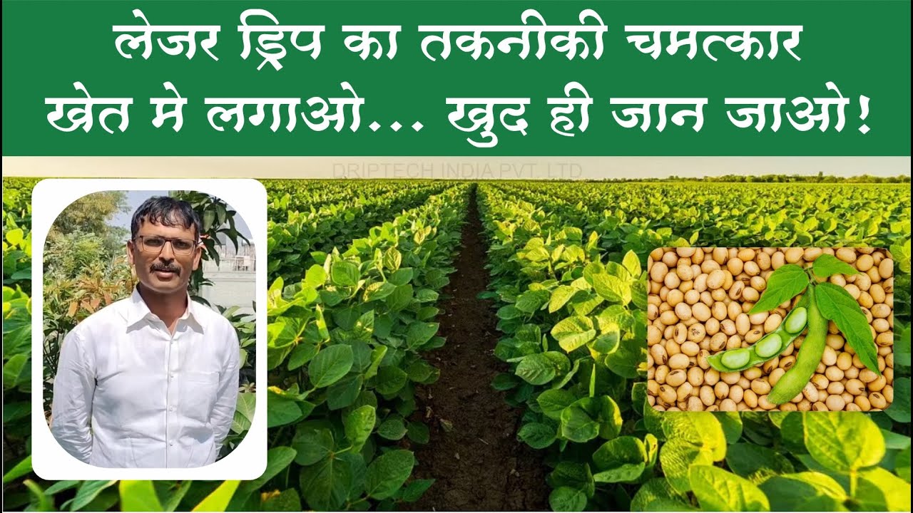 Laser Drip - A Technological Wonder | See it to believe it ! | Soyabean Irrigation with Laser Drip