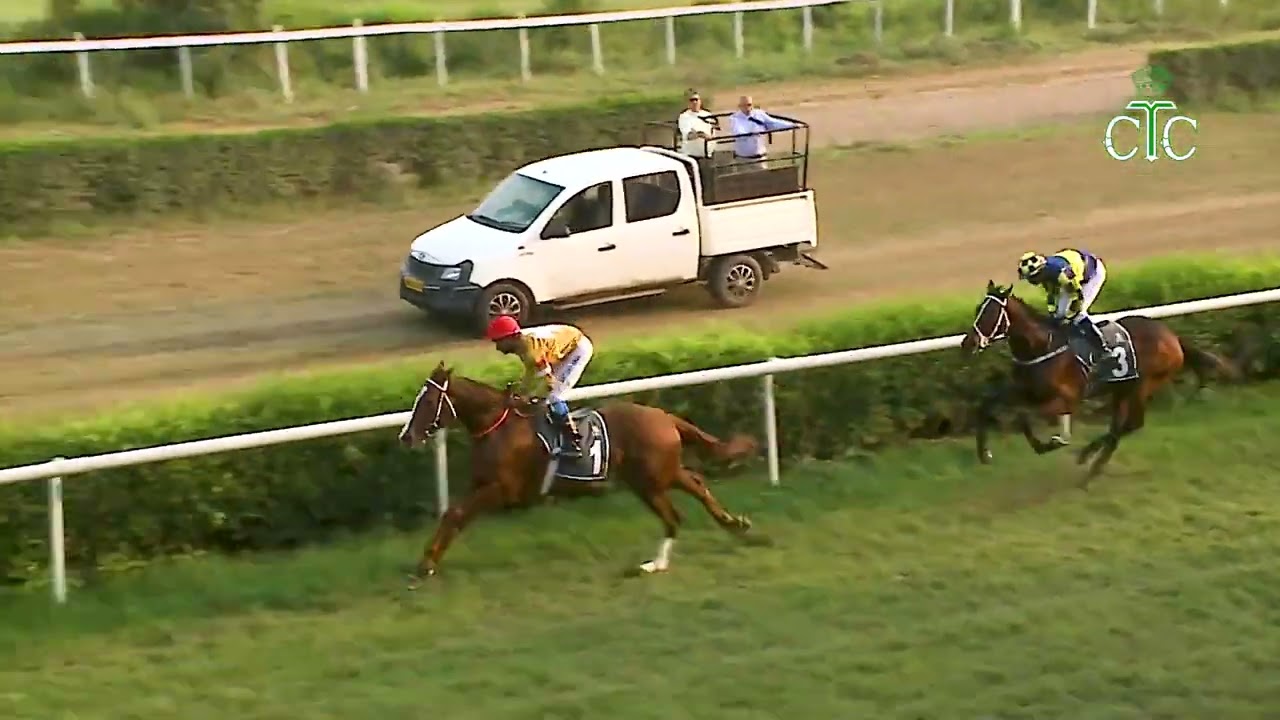 GOLD EMPIRE побеждает в Калькуттском скачках St Leger.