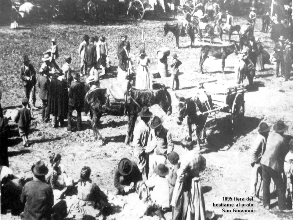 Tivoli 1895 Foto storiche fiera del bestiame Prato San Giovanni