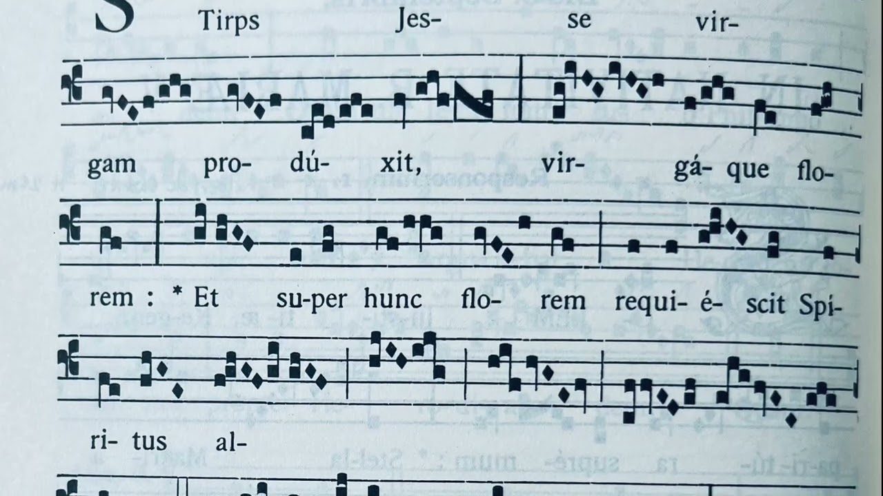 Stirps Jesse- Responsorium in Nativitate Beatae Mariae Virginis