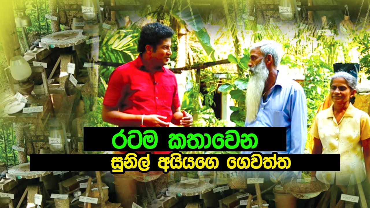 රටම කතාවෙන සුනිල් අයියගෙ ගෙවත්ත |  ගෙවතු වගාව | Home Vegetable Garden