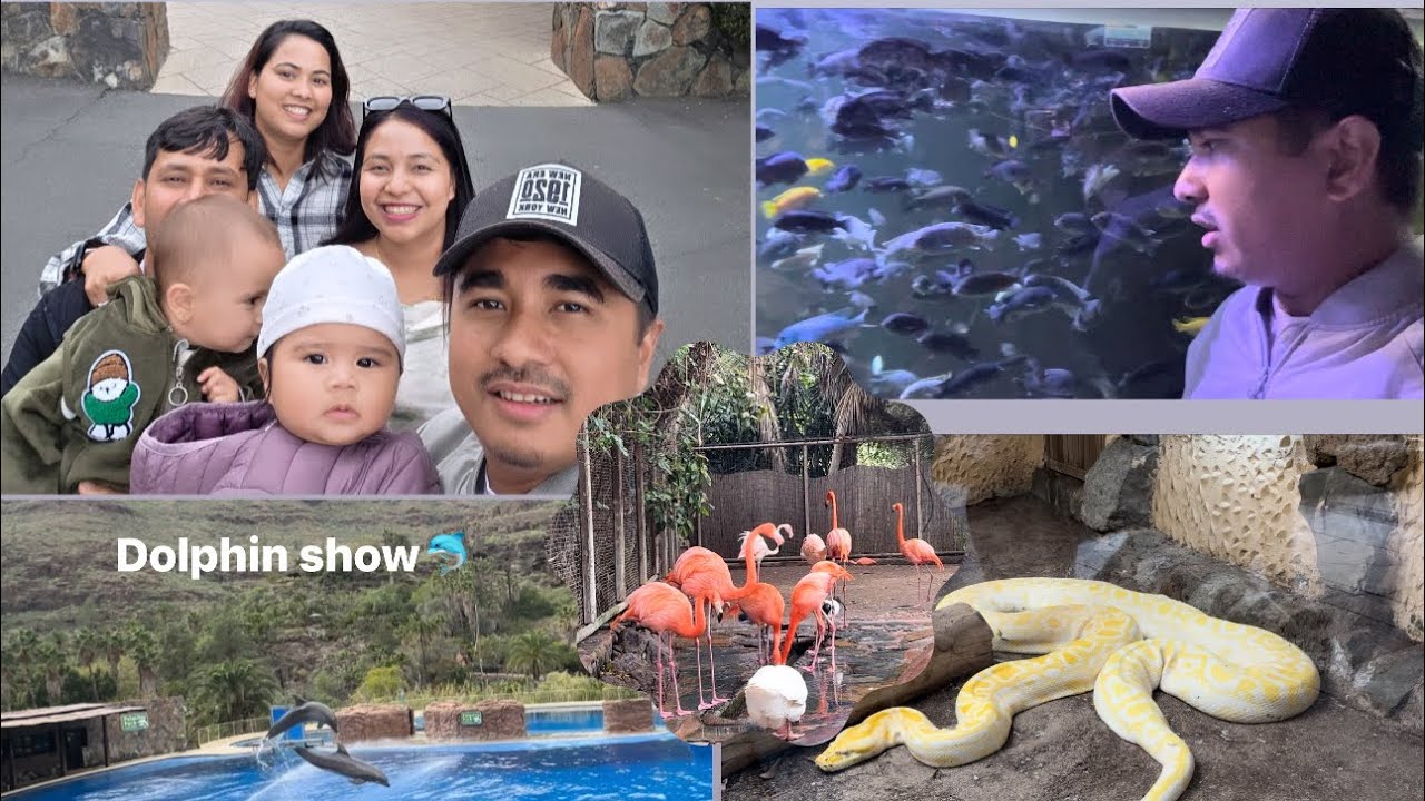 Palmitos Park ko ghumgham✌🏻Dolphin show pani heriyo🐬#enjoy 