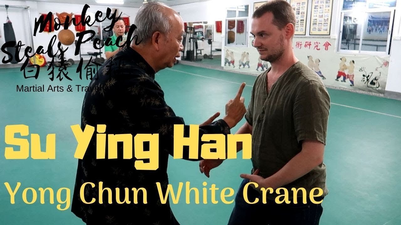 Yong Chun White Crane's Most Senior Master, Su Ying Han -  Masters of Fujian ep6