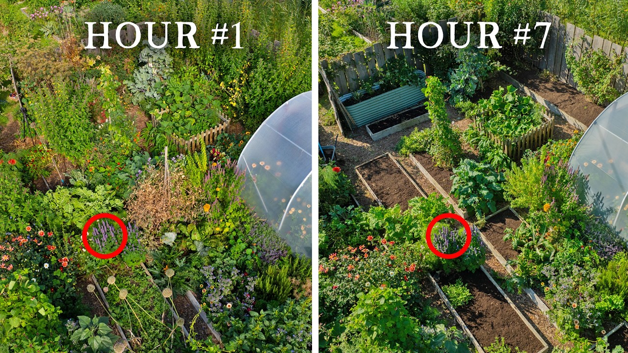 Rescuing An Abandoned Kitchen Garden