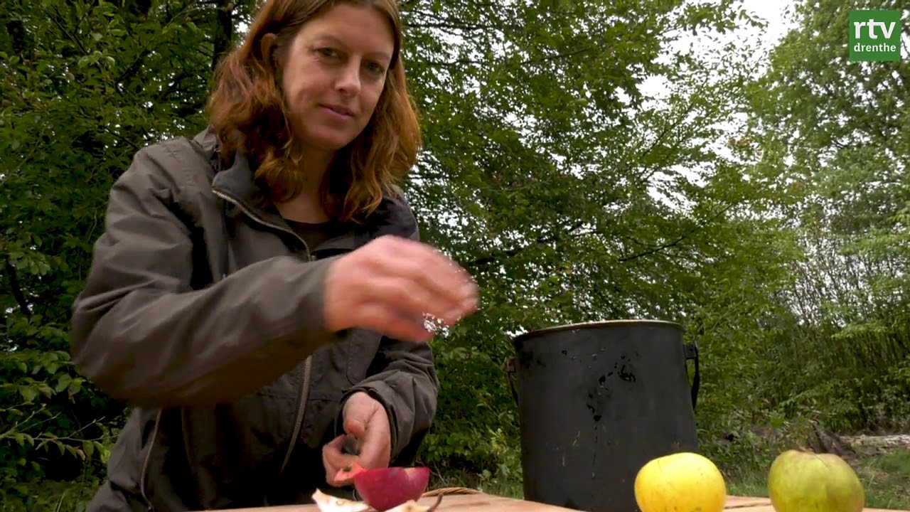 Eten uit de natuur: appelmoes met besjes van de meidoorn