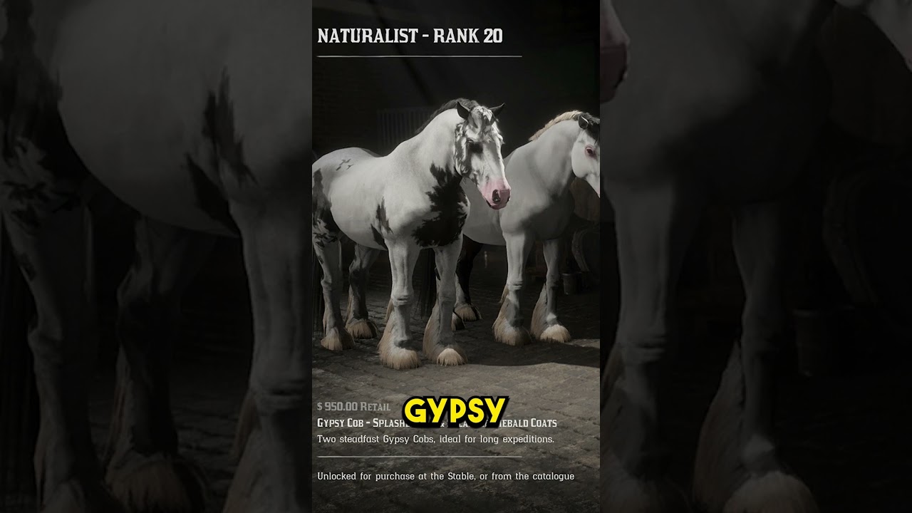 The Only Horse You Need In RDO (The Best RDR2 Online Horses)
