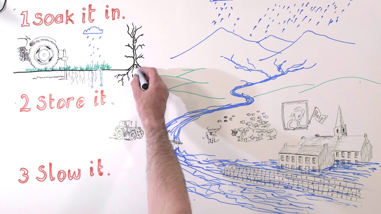 Natural Flood Risk Management Overview