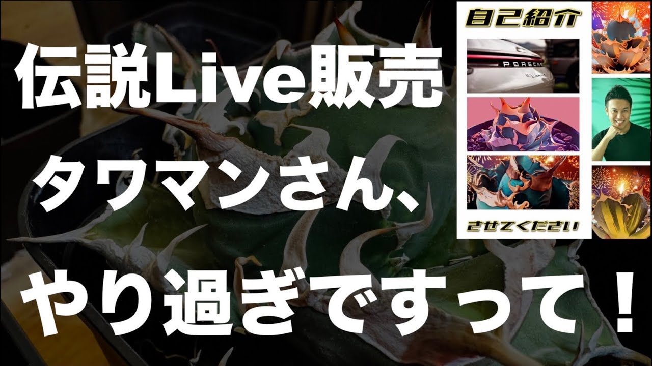 【伝説のアガベライブ販売】タワマンさんのSADを買ったらえげつなかった【アガベ】