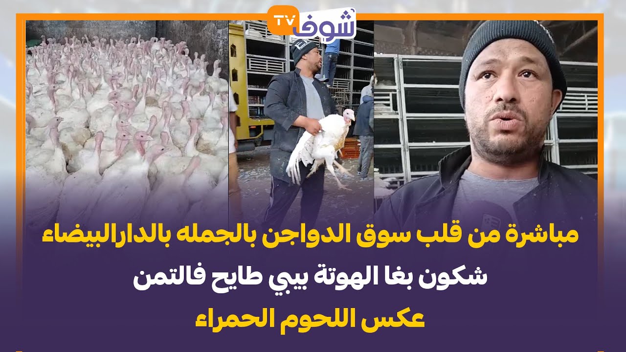 من قلب سوق الدواجن بالجمله بالدارالبيضاء....شكون بغا الهوتة بيبي طايح فالتمن عكس اللحوم الحمراء