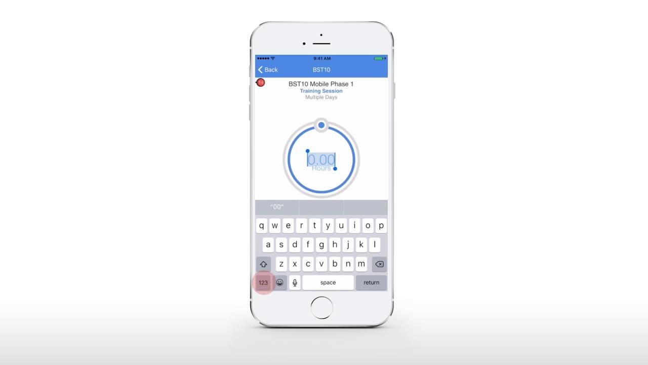 BST10 Mobile &ndash; Time Entry