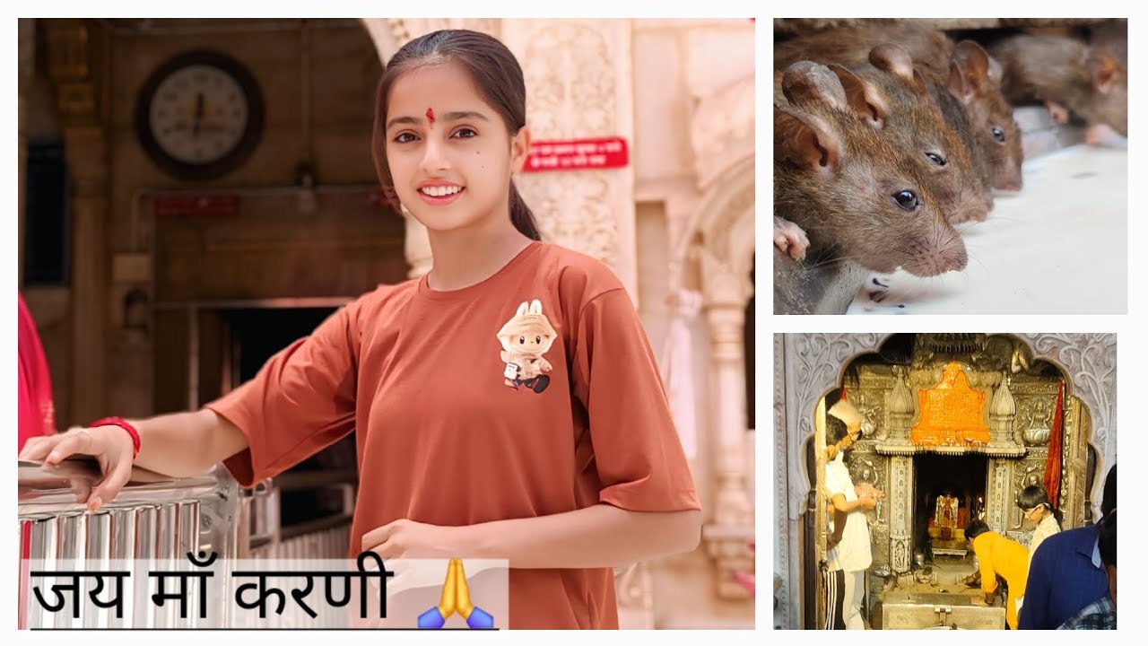 जय माँ करणी 🙏 || Aaj Ham Gaye deshnok 😇 || #vlog #viral #deshnok #rajasthan