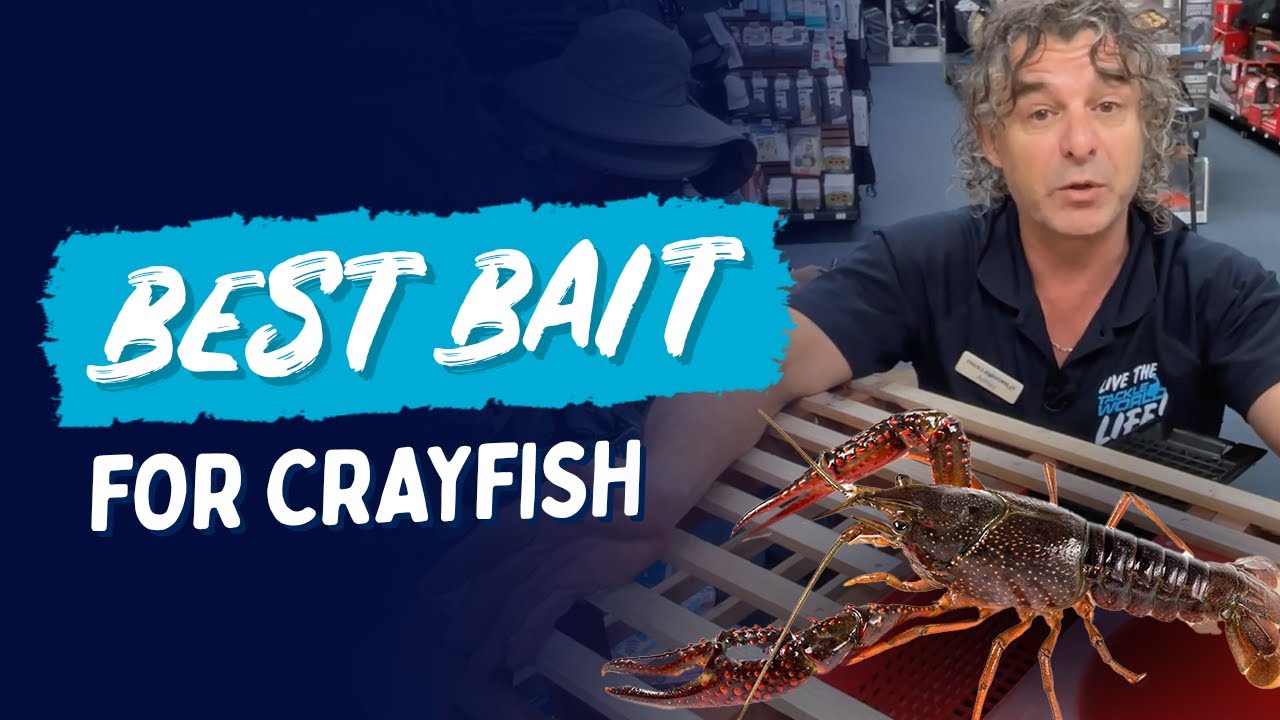 Choosing The Right Bait For Your Craypot