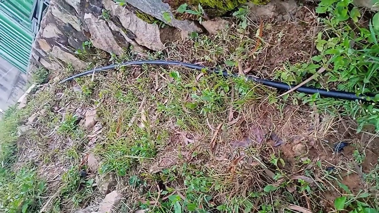 Biogas Demonstration