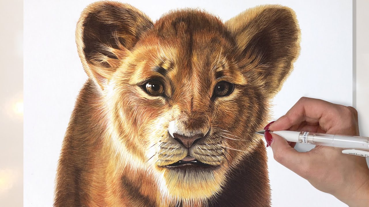 DRAWGING SIMBA | The Lion King Disney