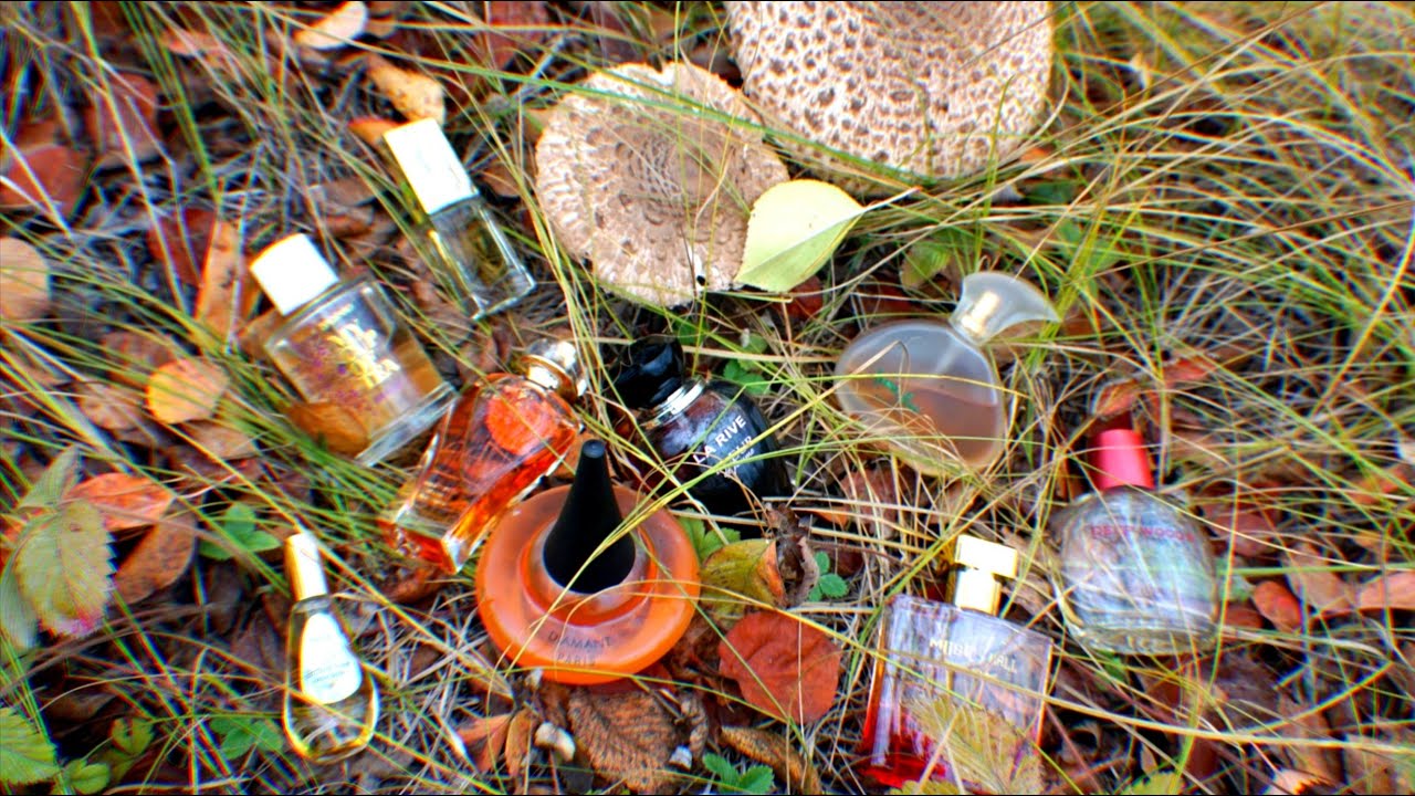 Мои ароматы октября 🌾🍎🌾 Новая заря, Брокар, Oriflame, Dillis, Corialys, Guy Alari и т.д.