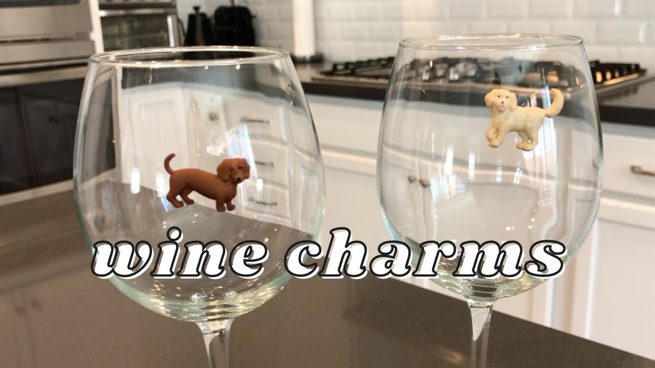 BEST OF AMAZON WINE TOOLS: Simply Charmed Wine Charms