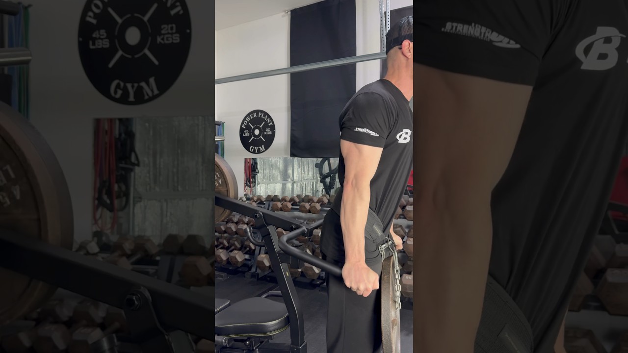 Powertec Workbench Dip Machine Attachment #powertec #homegym #garagegym