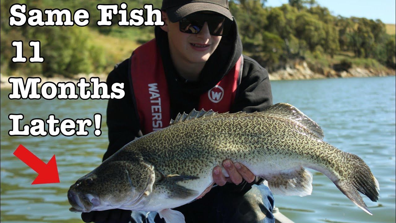 THE FISH JUST KEPT COMING! New Best session at Lauriston Res!