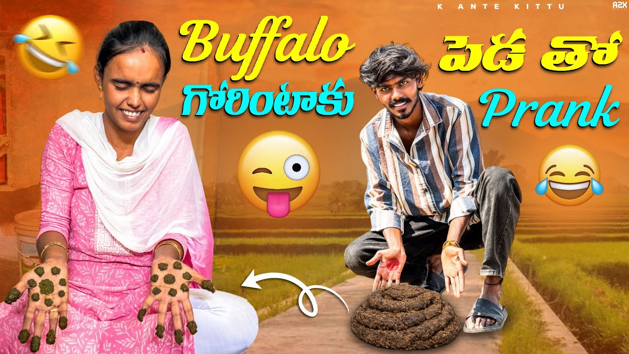  Buffalo Peyda tho Gorintaaku Prank on My Sister 😂😂 #vlog #funny #comedy #entertainment #prank