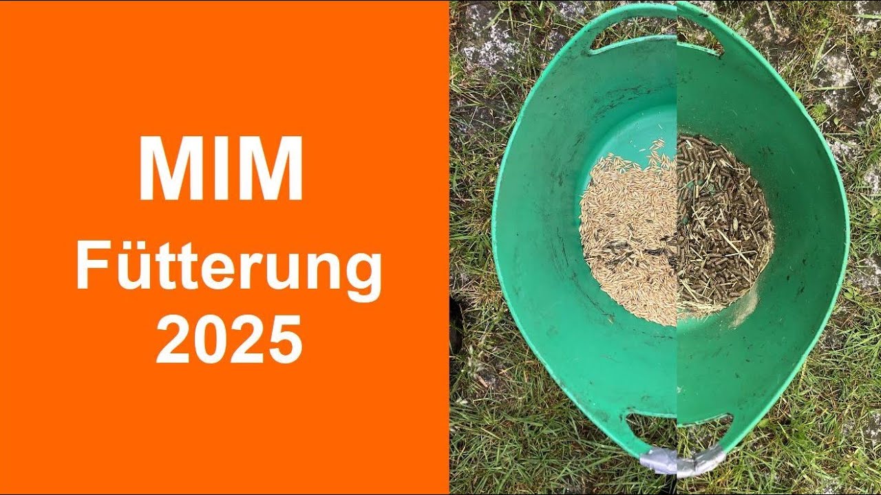 MIM-F&uuml;tterung und Haltung 2025 update