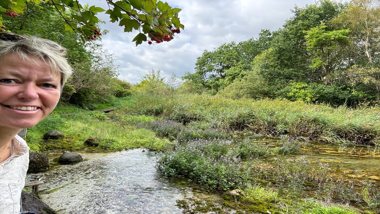 Se Anne-Vibeke Rejser - Sommerferie i Rold Skov - masser af tips til sommerferien