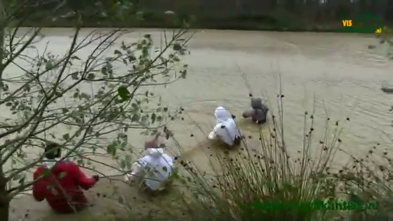 Afvissing Etangs de Loison (Visvakanties.nl)