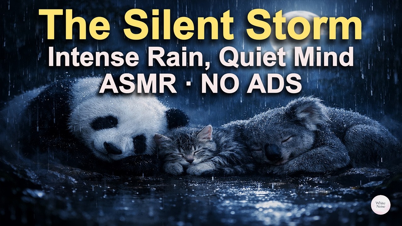 [White Noise] The Silent Storm Intense Rain, Quiet Mind ASMR No Ads