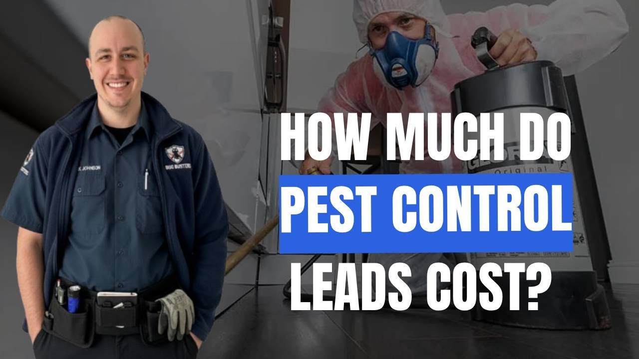How Much Do You Need to Spend to Get Pest Control Leads With Google Ads?