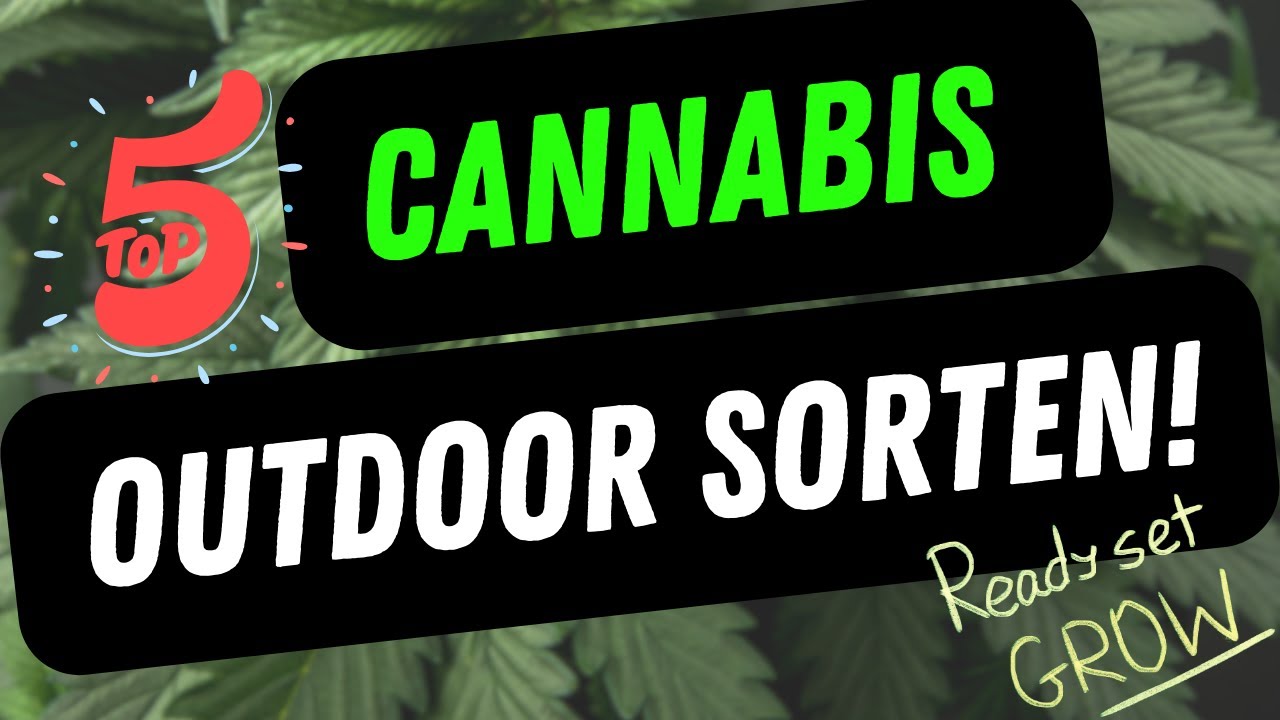 5 Sorten für den Outdoor Cannabis Anbau! 