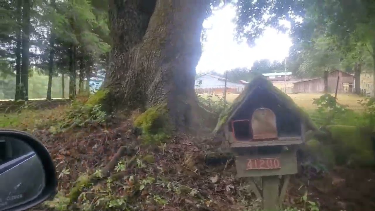 Journeying Within: Heritage and Connections in Amboy Washington State  - Episode 14