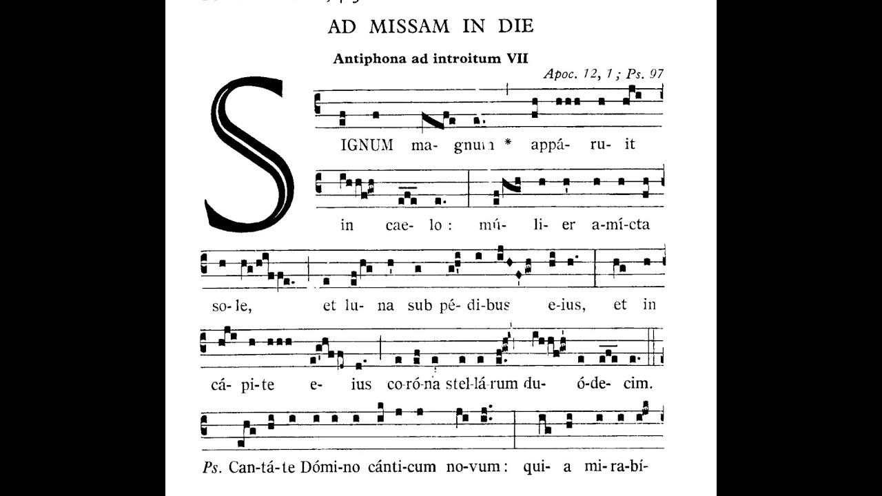 LIVESTREAM: Assumption Office of Readings + Daytime Prayer + Chat