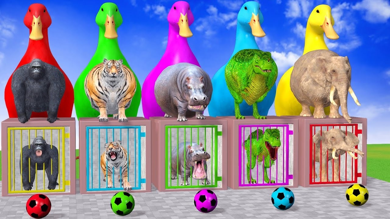 Long Slide Game With Elephant Gorilla Buffalo Hippopotamus Tiger - 3d Animal Game - Funny 3d Animals