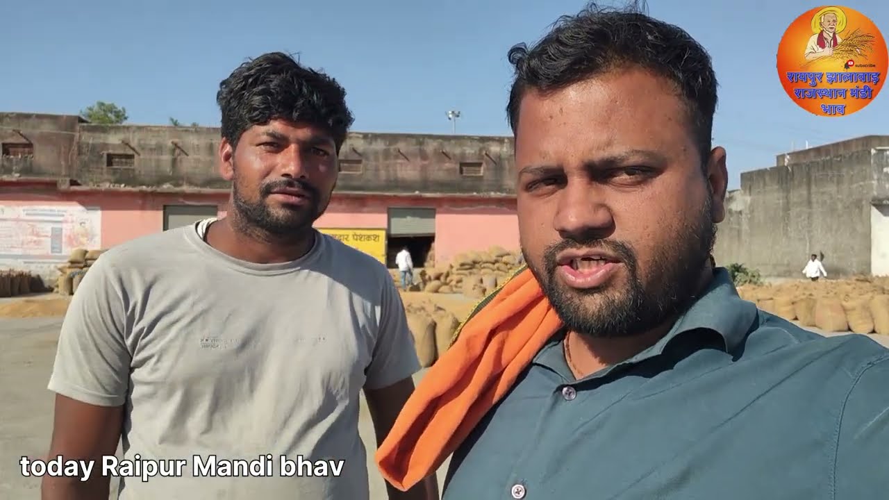 13 March 2026। आज का रायपुर मंडीभाव। गेहूं का भाव।मसूर में तेजी। सरसों.. 